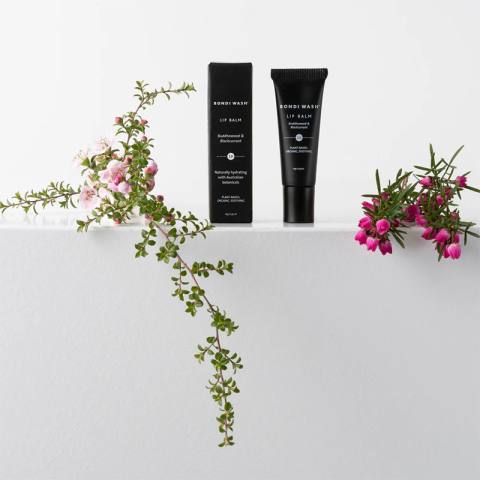 Lip Balm Buddhawood & Blackurrant